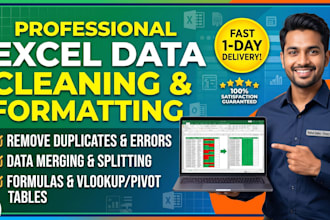 do excel data cleaning, formatting, and merge duplicate data