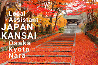 be local assistant in osaka, kyoto and nara in japan