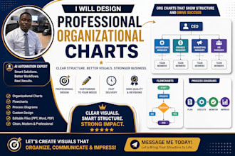 professional organization charts, flowcharts and powerpoint diagrams