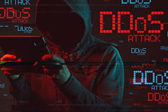 take any website down, ddos attack, website penetrate, ss7 attack