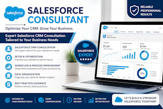 provide salesforce CRM consultation and optimization