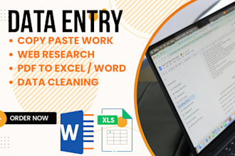do professional data entry and copy paste work