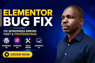 fix elementor bugs, wordpress errors and website issues