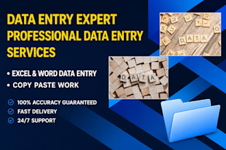 do accurate data entry, excel data formatting