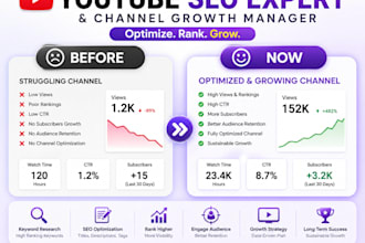 be best youtube video SEO expert and channel growth manager