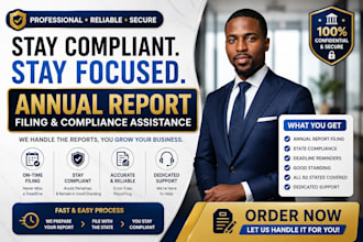 file your US llc annual report and help maintain business compliance