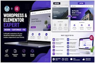 wordpress and elementor issues and customize your website