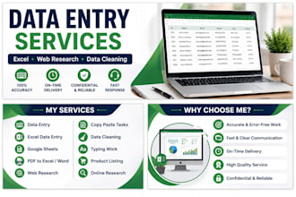 do data entry, excel data entry, web research and data cleaning