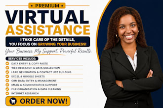be your virtual assistant for admin support, data management and business