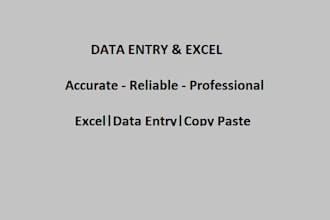 provide accurate data entry and excel services