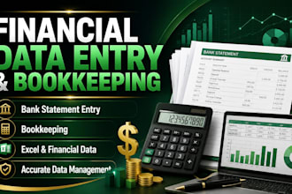 do financial data entry, bookkeeping in excel