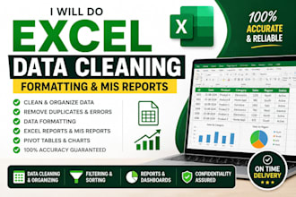 do excel data cleaning, formatting and mis reports