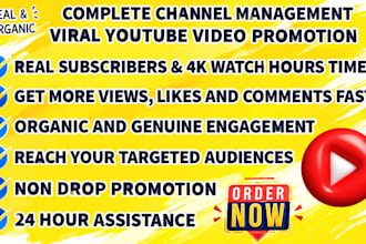 youtube video promotion USA playlist channel monetization subscription growth