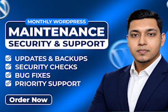 provide monthly wordpress maintenance, security and support