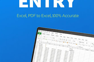 do e commerce product data entry and excel data entry