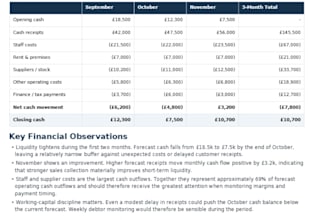 create a cash flow forecast and financial management pack