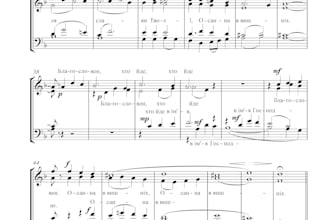 do professional music notation, score engraving and transcription in sibelius