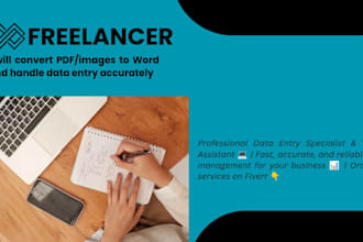 handle professional data entry and copy typing