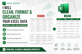 clean, format and organize your excel data