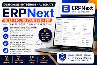 customize erpnnext, frappe, workflows, reports, and API integration