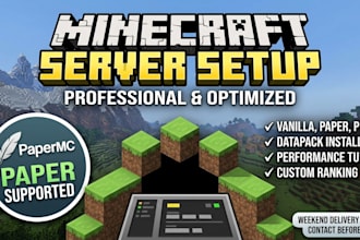 setup a minecraft server on any hoster platform