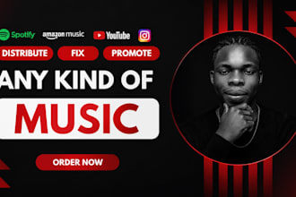 music distribution, music manager, fix distribution issues, and music marketing