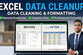 clean, organize and format your excel spreadsheet