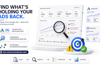 do a comprehensive google ads and meta ads performance audit