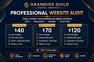 perform a professional UX UI and responsive website audit