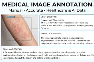 provide medical image annotation and clinical descriptions