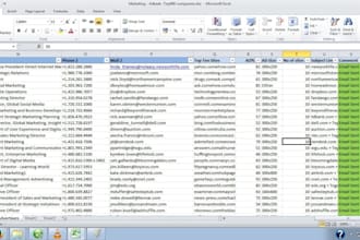 do the data entry job,datamining,scraping,leadgeneration