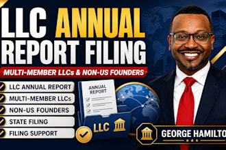 file llc annual report for multi member llc business and non US resident founder