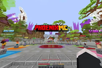 professionally setup your minecraft server