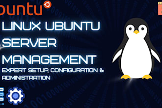 setup, configure, and manage linux ubuntu server or nginx