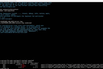 setup, configure, and manage linux ubuntu server or nginx