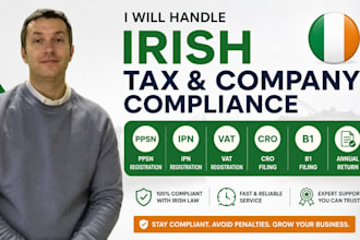handle irish tax registration ppsn ipn vat cro b1 filing, annual return ireland