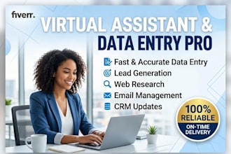 do professional data entry, data cleanup and excel formatting