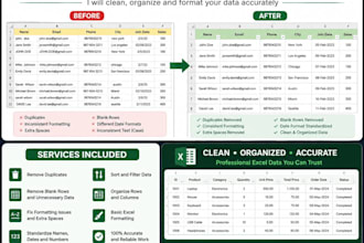 clean, format and organize your excel data