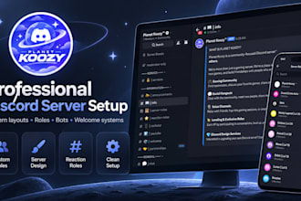professionally set up your discord server