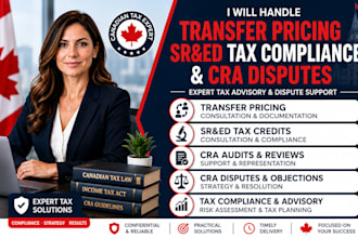 handle transfer pricing sr and ed tax compliance and cra disputes