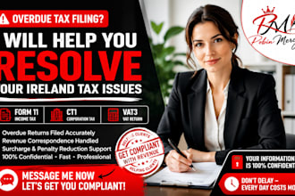 rescue your overdue ireland form 11 ct1 vat3 tax filing nd cut revenue surcharge