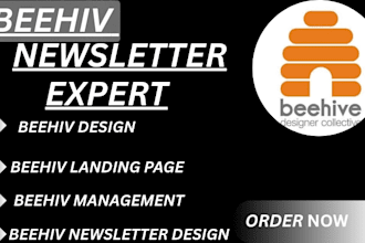 beehive setup and newsletter epxert