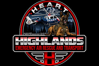 create fantastic and gorgeous helicopter logo design