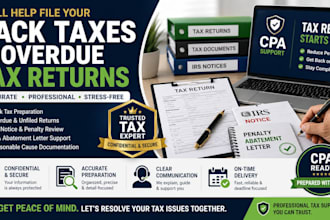 prepare back taxes and CPA ready abatement letters for tax relief