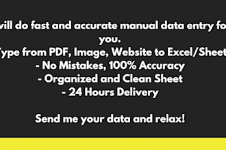 do fast manual data entry and excel work accurately