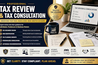 provide professional tax review and consultation for your tax situation
