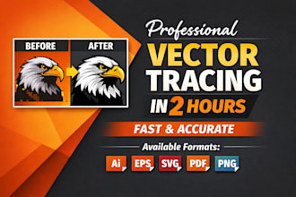 manual vector tracing service
