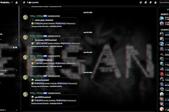 build a professional discord server with bots and auto moderation