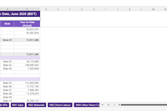 provide financial audit, risk and accounting solutions