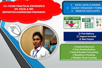 do data cleaning, data formatting, mis reporting, accurate, structured way
